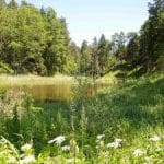 rp_agroturystyka-7-300×225.jpg